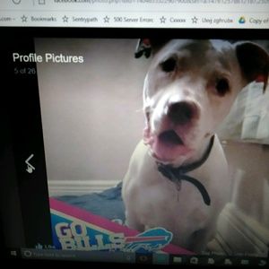 Meet your Posher, Felicis